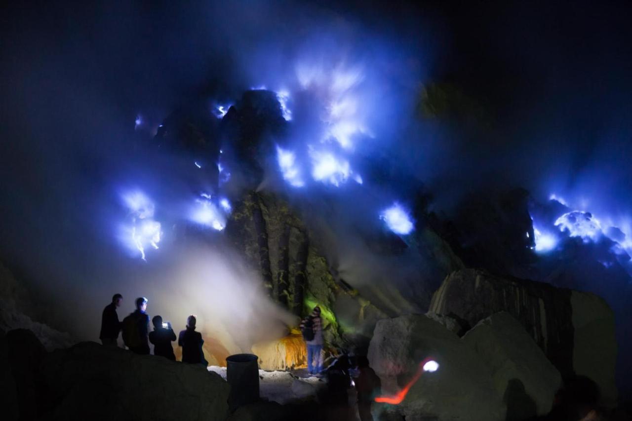 Dannu'S Homestay & Ijen, Bromo, Meru Betiri Sukomade Tours Banyuwangi  Eksteriør bilde