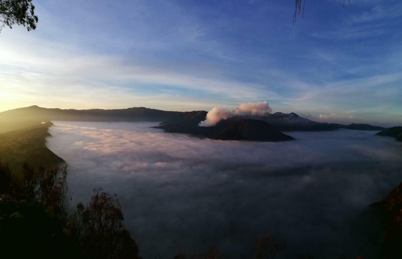 Dannu'S Homestay & Ijen, Bromo, Meru Betiri Sukomade Tours Banyuwangi  Eksteriør bilde